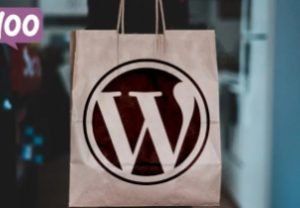 Build eCommerce websites with WordPress